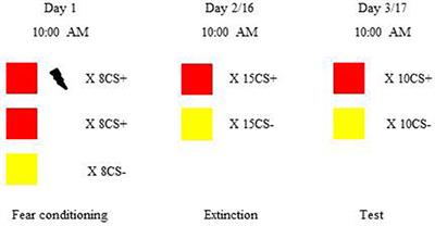 Orexin A Differentially Influences the Extinction Retention of Recent and Remote Fear Memory